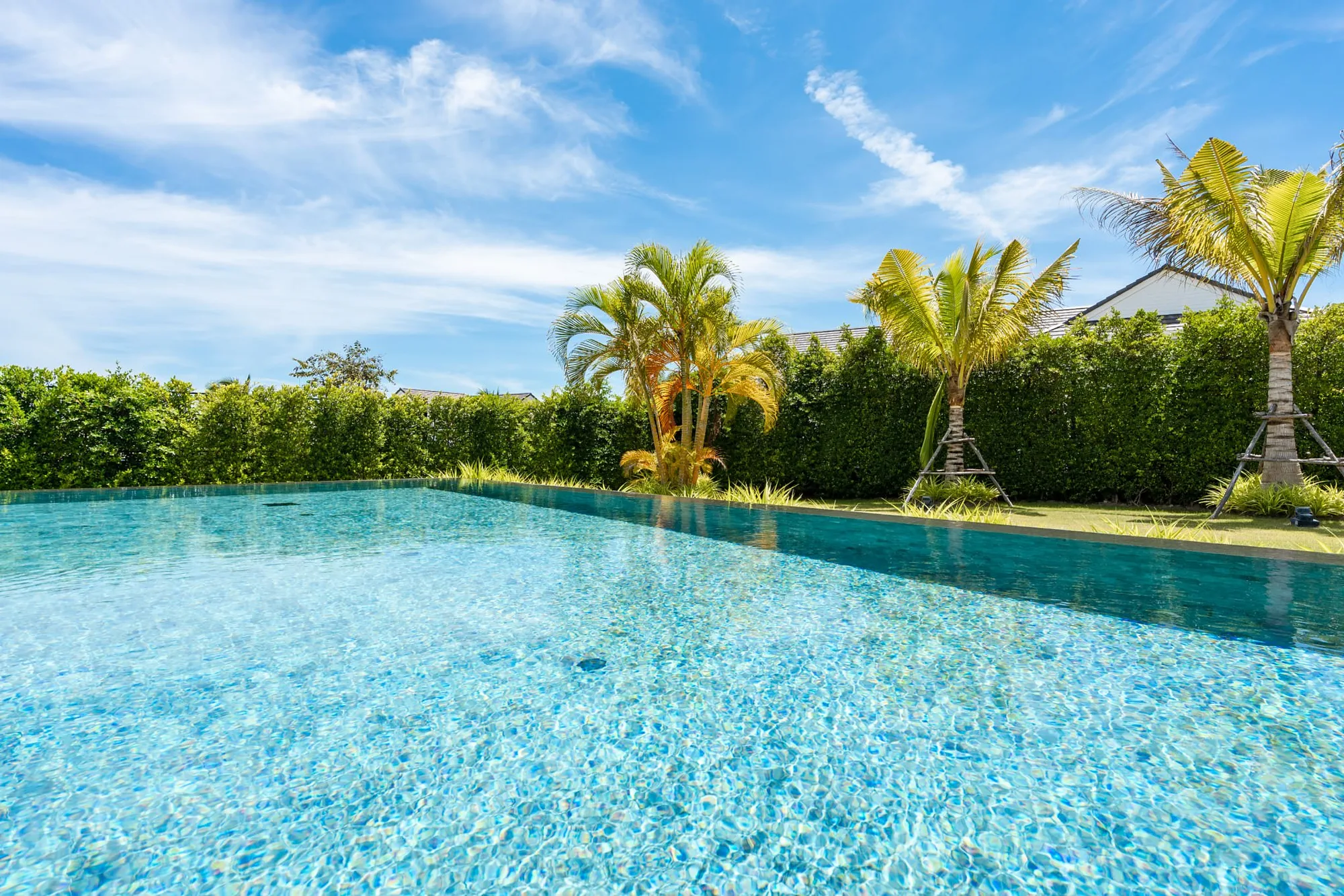 Pool and palms under a clear sky