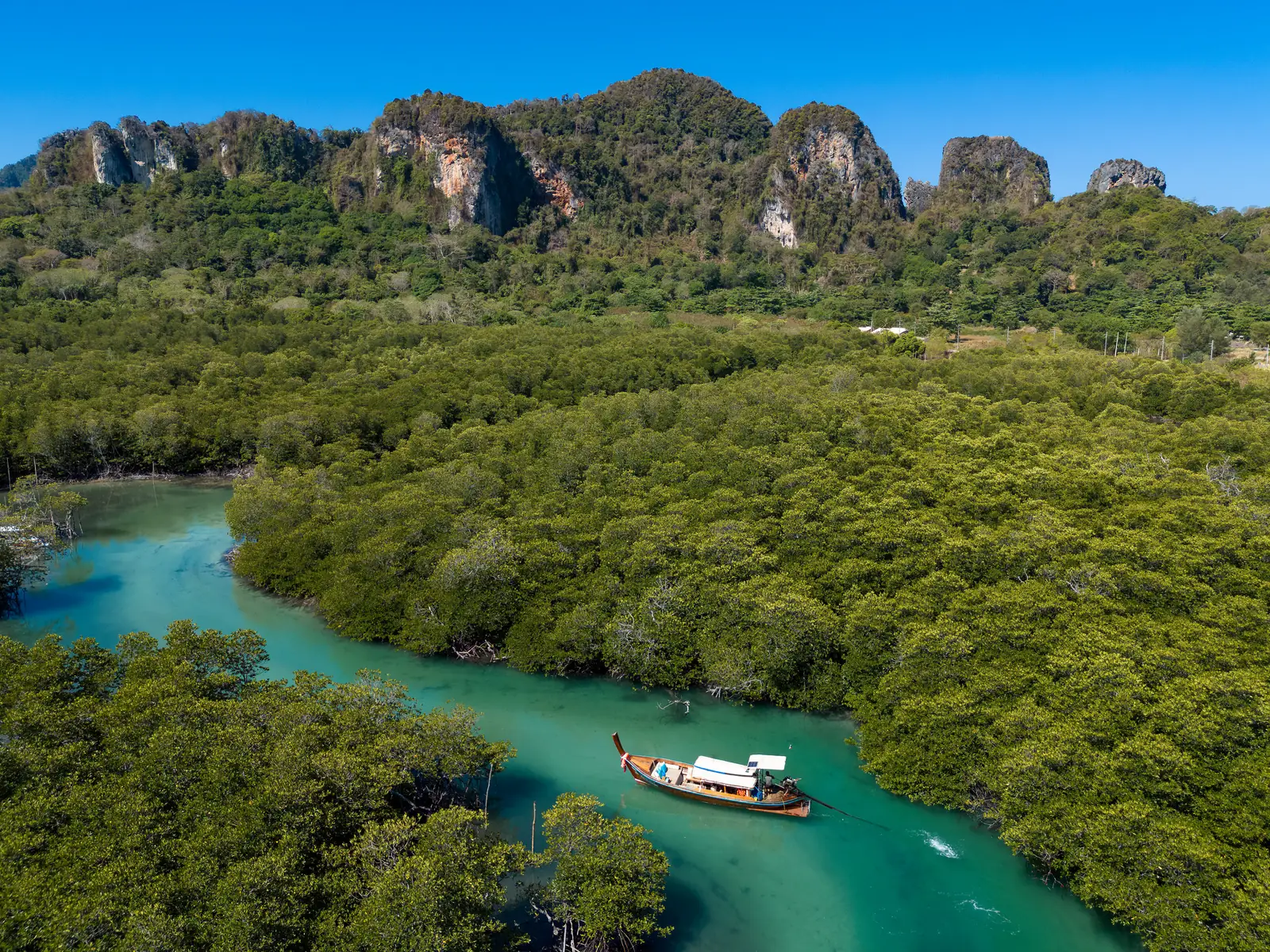 Longtail boat on a mangrove river, aerial view