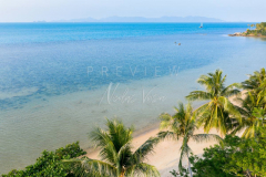 Aerial view beach