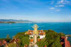 Aerial view Big Buddha