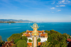 Aerial view Big Buddha