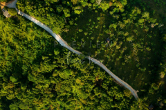 Aerial view jungle route 360