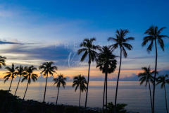 Aerial view sunrise with coconut tree