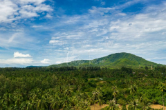 Aerial view koh samui jungle and mountain
