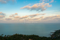 210214-Coral-Cove-0008