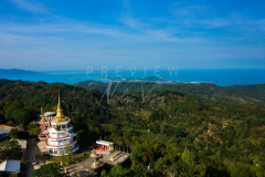 210403-Samui-Standing-Buddha-0016