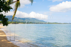 Scenic swing on beach