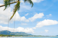 Scenic swing on beach