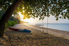 Scenic swing on beach
