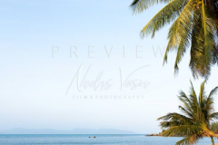 Empty beach with scenic coconut tree