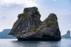 Marine Park monkey island