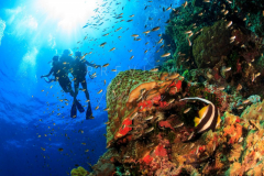 day trip scuba diving in the gulf of thailand