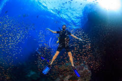 day trip scuba diving in the gulf of thailand