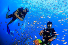 day trip scuba diving in the gulf of thailand