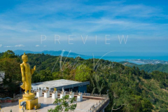 210403-Samui-Standing-Buddha-0006