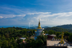 210403-Samui-Standing-Buddha-0014