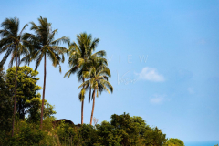 210214-Coral-Cove-0003