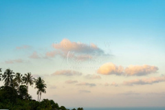 210214-Coral-Cove-0009