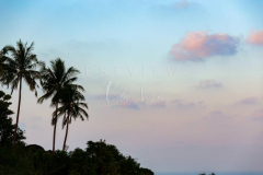 210214-Coral-Cove-0014