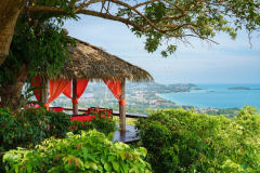 Jungle Club Restaurant