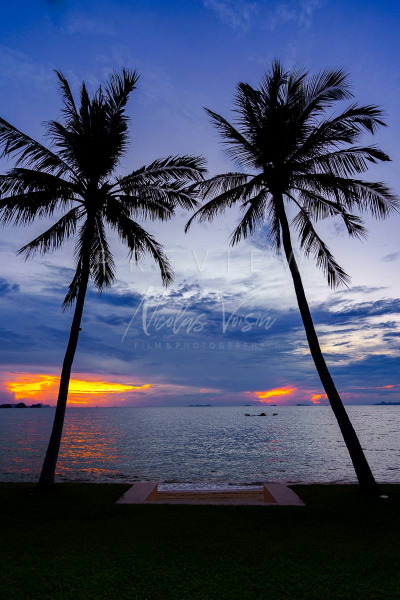 Sunset behind coconut tree