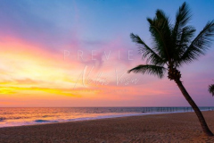 Sunset at the beach