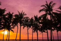 Sunset at the beach