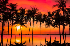 Sunset at the beach