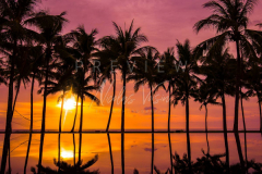 Sunset at the beach