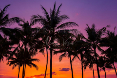 Sunset at the beach
