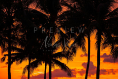 Sunset at the beach
