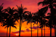 Sunset at the beach