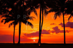 Sunset at the beach