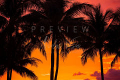 Sunset at the beach