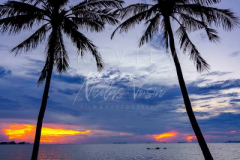 Sunset behind coconut tree